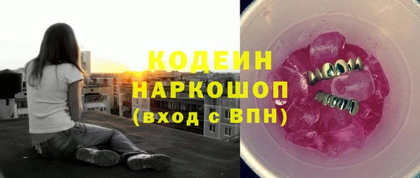 молекула духа Козловка