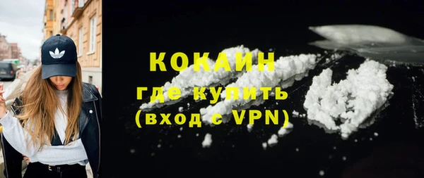 молекула духа Козловка