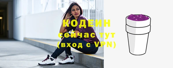 молекула духа Козловка
