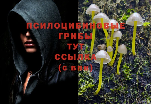 молекула духа Козловка